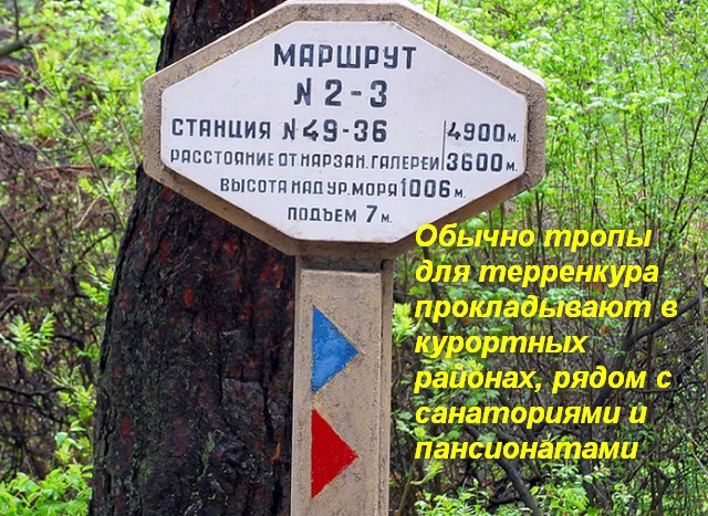 что такое теренкурные дорожки. Смотреть фото что такое теренкурные дорожки. Смотреть картинку что такое теренкурные дорожки. Картинка про что такое теренкурные дорожки. Фото что такое теренкурные дорожки