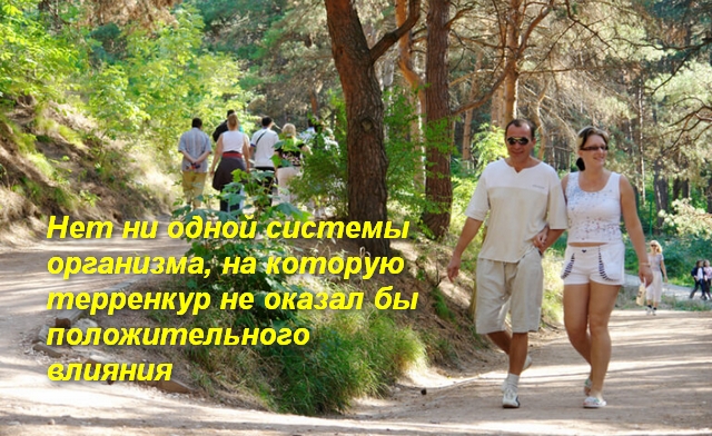 что такое теренкурные дорожки. Смотреть фото что такое теренкурные дорожки. Смотреть картинку что такое теренкурные дорожки. Картинка про что такое теренкурные дорожки. Фото что такое теренкурные дорожки