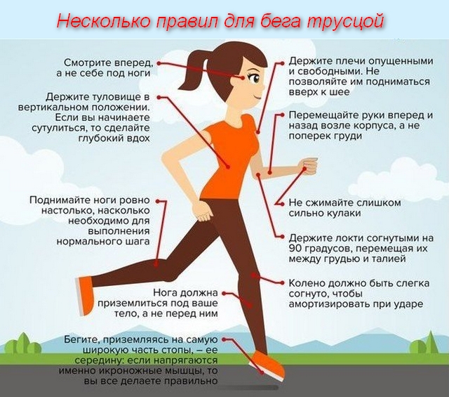 бег трусцой средняя скорость при таком беге. Смотреть фото бег трусцой средняя скорость при таком беге. Смотреть картинку бег трусцой средняя скорость при таком беге. Картинка про бег трусцой средняя скорость при таком беге. Фото бег трусцой средняя скорость при таком беге